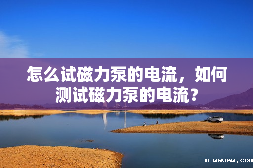 怎么试磁力泵的电流,如何测试磁力泵的电流? 怎么试磁力泵的电流,如何测试磁力泵的电流?