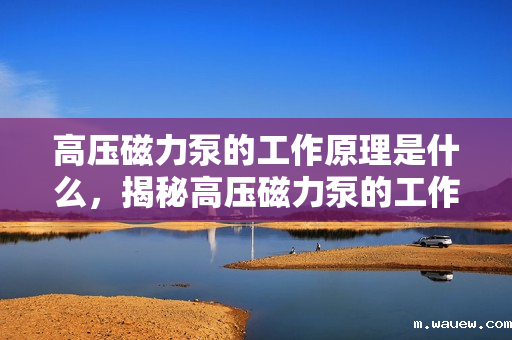 高压磁力泵的工作原理是什么,揭秘高压磁力泵的工作原理 高压磁力泵的工作原理是什么,揭秘高压磁力泵的工作原理