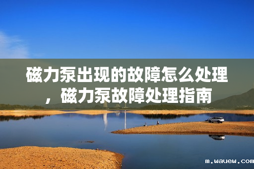 磁力泵出现的故障怎么处理,磁力泵故障处理指南 磁力泵出现的故障怎么处理,磁力泵故障处理指南