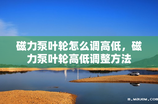 磁力泵叶轮怎么调高低,磁力泵叶轮高低调整方法 磁力泵叶轮怎么调高低,磁力泵叶轮高低调整方法