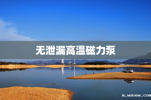 无泄漏高温磁力泵 无泄漏高温磁力泵