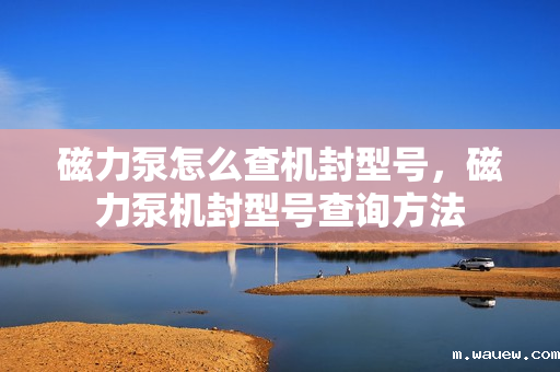 磁力泵怎么查机封型号,磁力泵机封型号查询方法 磁力泵怎么查机封型号,磁力泵机封型号查询方法