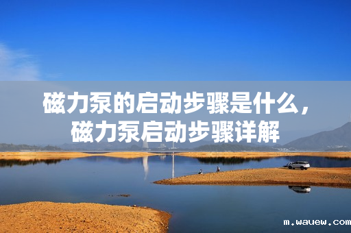 磁力泵的启动步骤是什么,磁力泵启动步骤详解 磁力泵的启动步骤是什么,磁力泵启动步骤详解