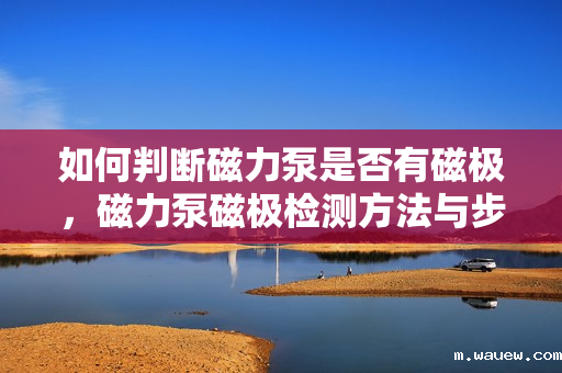 如何判断磁力泵是否有磁极,磁力泵磁极检测方法与步骤 如何判断磁力泵是否有磁极,磁力泵磁极检测方法与步骤