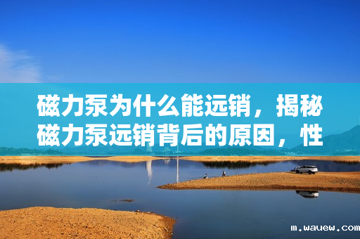 磁力泵为什么能远销,揭秘磁力泵远销背后的原因,性能卓越与市场需求共赢 磁力泵为什么能远销,揭秘磁力泵远销背后的原因,性能卓越与市场需求共赢