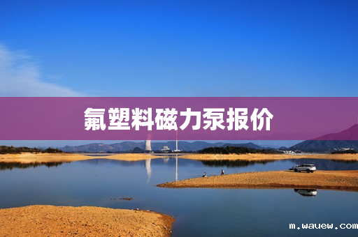 氟塑料磁力泵报价 氟塑料磁力泵报价