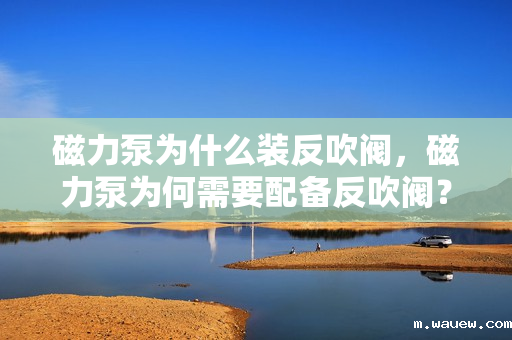 磁力泵为什么装反吹阀,磁力泵为何需要配备反吹阀? 磁力泵为什么装反吹阀,磁力泵为何需要配备反吹阀?