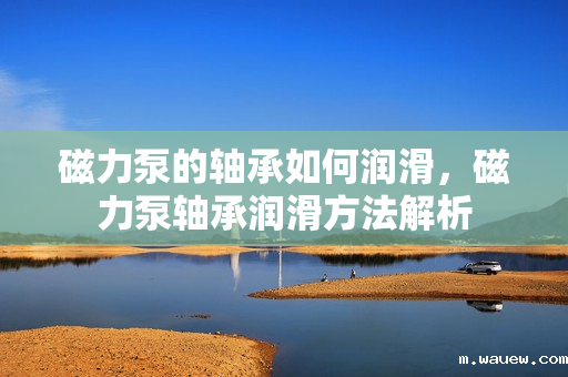磁力泵的轴承如何润滑,磁力泵轴承润滑方法解析 磁力泵的轴承如何润滑,磁力泵轴承润滑方法解析