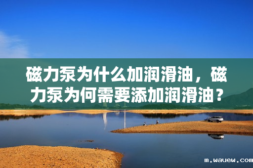 磁力泵为什么加润滑油,磁力泵为何需要添加润滑油? 磁力泵为什么加润滑油,磁力泵为何需要添加润滑油?