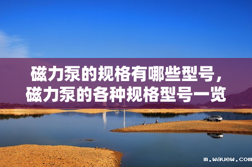 磁力泵的规格有哪些型号,磁力泵的各种规格型号一览 磁力泵的规格有哪些型号,磁力泵的各种规格型号一览