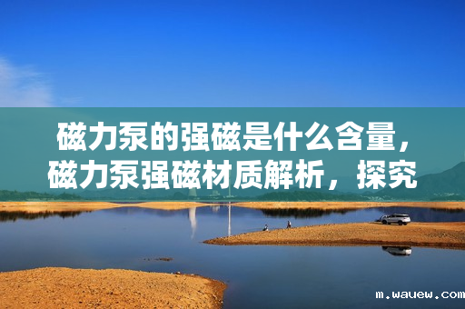 磁力泵的强磁是什么含量,磁力泵强磁材质解析,探究其关键元素含量 磁力泵的强磁是什么含量,磁力泵强磁材质解析,探究其关键元素含量