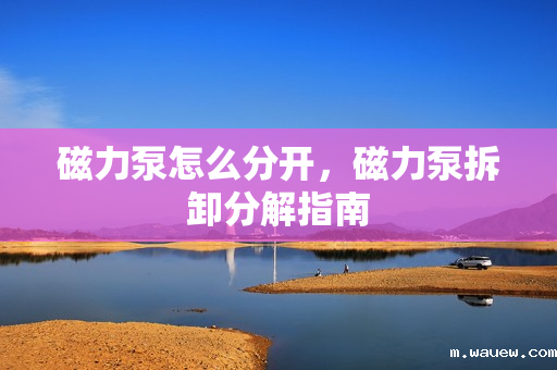 磁力泵怎么分开,磁力泵拆卸分解指南 磁力泵怎么分开,磁力泵拆卸分解指南