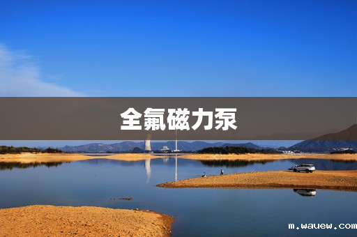 全氟磁力泵 全氟磁力泵