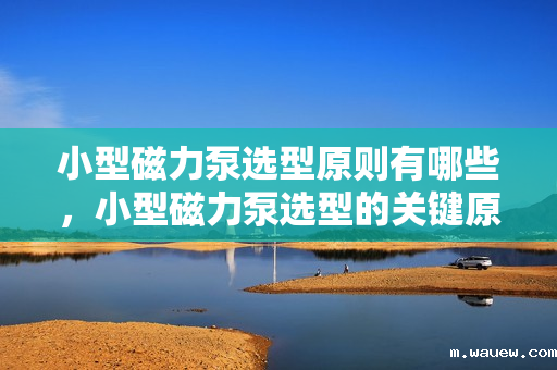 小型磁力泵选型原则有哪些,小型磁力泵选型的关键原则 小型磁力泵选型原则有哪些,小型磁力泵选型的关键原则