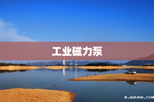 工业磁力泵 工业磁力泵