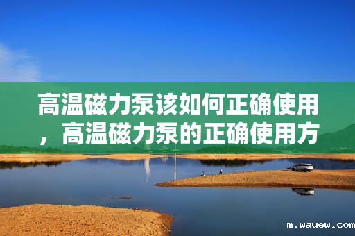 高温磁力泵该如何正确使用,高温磁力泵的正确使用方法指南 高温磁力泵该如何正确使用,高温磁力泵的正确使用方法指南