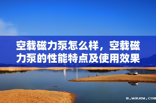 空载磁力泵怎么样,空载磁力泵的性能特点及使用效果解析 空载磁力泵怎么样,空载磁力泵的性能特点及使用效果解析