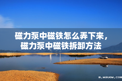 磁力泵中磁铁怎么弄下来,磁力泵中磁铁拆卸方法 磁力泵中磁铁怎么弄下来,磁力泵中磁铁拆卸方法