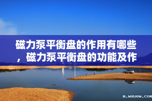 磁力泵平衡盘的作用有哪些,磁力泵平衡盘的功能及作用解析 磁力泵平衡盘的作用有哪些,磁力泵平衡盘的功能及作用解析