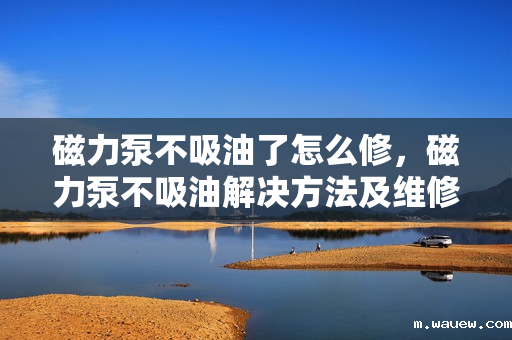 磁力泵不吸油了怎么修,磁力泵不吸油解决方法及维修指南 磁力泵不吸油了怎么修,磁力泵不吸油解决方法及维修指南