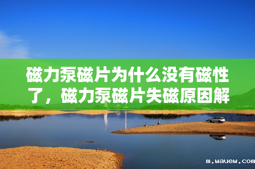 磁力泵磁片为什么没有磁性了,磁力泵磁片失磁原因解析 磁力泵磁片为什么没有磁性了,磁力泵磁片失磁原因解析