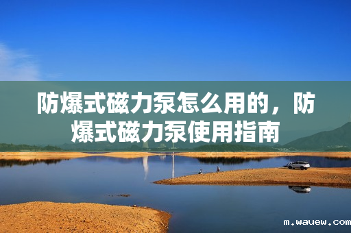 防爆式磁力泵怎么用的,防爆式磁力泵使用指南 防爆式磁力泵怎么用的,防爆式磁力泵使用指南