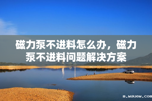 磁力泵不进料怎么办,磁力泵不进料问题解决方案 磁力泵不进料怎么办,磁力泵不进料问题解决方案