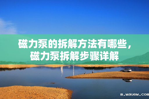 磁力泵的拆解方法有哪些,磁力泵拆解步骤详解 磁力泵的拆解方法有哪些,磁力泵拆解步骤详解