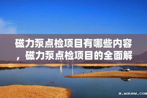 磁力泵点检项目有哪些内容,磁力泵点检项目的全面解析 磁力泵点检项目有哪些内容,磁力泵点检项目的全面解析
