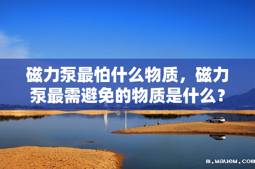 磁力泵最怕什么物质,磁力泵最需避免的物质是什么? 磁力泵最怕什么物质,磁力泵最需避免的物质是什么?