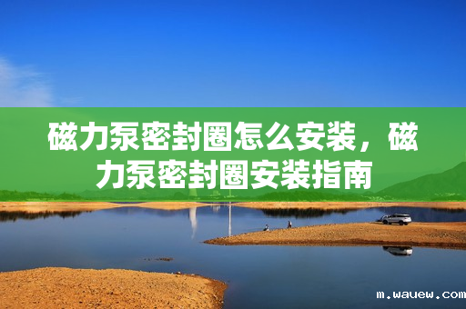 磁力泵密封圈怎么安装,磁力泵密封圈安装指南 磁力泵密封圈怎么安装,磁力泵密封圈安装指南