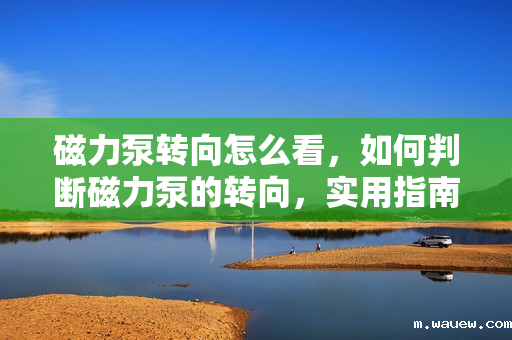 磁力泵转向怎么看,如何判断磁力泵的转向,实用指南 磁力泵转向怎么看,如何判断磁力泵的转向,实用指南