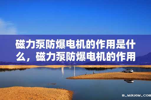 磁力泵防爆电机的作用是什么,磁力泵防爆电机的作用解析 磁力泵防爆电机的作用是什么,磁力泵防爆电机的作用解析