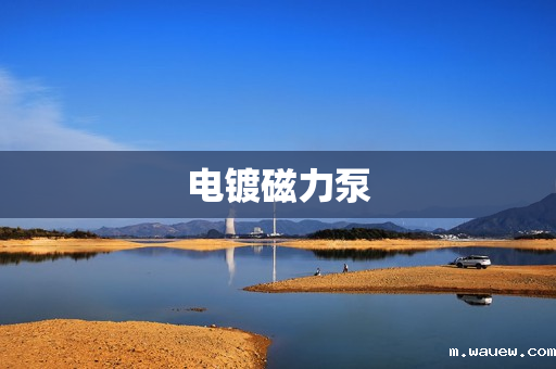 电镀磁力泵 电镀磁力泵