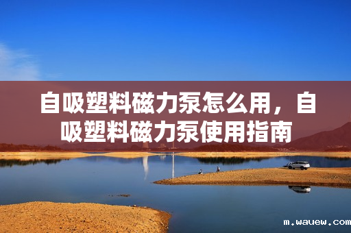 自吸塑料磁力泵怎么用,自吸塑料磁力泵使用指南 自吸塑料磁力泵怎么用,自吸塑料磁力泵使用指南