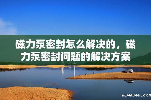磁力泵密封怎么解决的,磁力泵密封问题的解决方案 磁力泵密封怎么解决的,磁力泵密封问题的解决方案