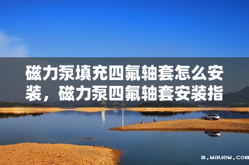 磁力泵填充四氟轴套怎么安装,磁力泵四氟轴套安装指南 磁力泵填充四氟轴套怎么安装,磁力泵四氟轴套安装指南
