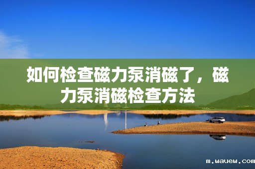 如何检查磁力泵消磁了,磁力泵消磁检查方法 如何检查磁力泵消磁了,磁力泵消磁检查方法