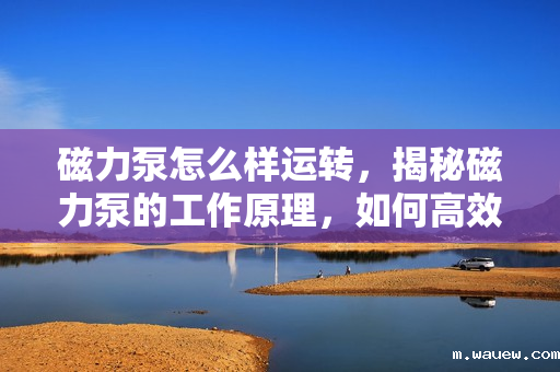 磁力泵怎么样运转,揭秘磁力泵的工作原理,如何高效稳定运转 磁力泵怎么样运转,揭秘磁力泵的工作原理,如何高效稳定运转