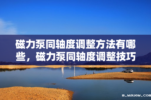 磁力泵同轴度调整方法有哪些,磁力泵同轴度调整技巧详解 磁力泵同轴度调整方法有哪些,磁力泵同轴度调整技巧详解