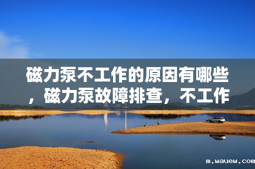 磁力泵不工作的原因有哪些,磁力泵故障排查,不工作的原因解析 磁力泵不工作的原因有哪些,磁力泵故障排查,不工作的原因解析
