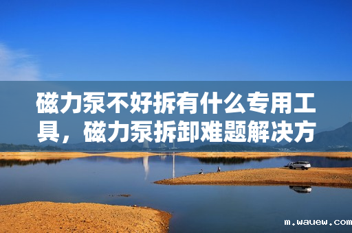 磁力泵不好拆有什么专用工具,磁力泵拆卸难题解决方案,专用工具助力轻松拆解 磁力泵不好拆有什么专用工具,磁力泵拆卸难题解决方案,专用工具助力轻松拆解