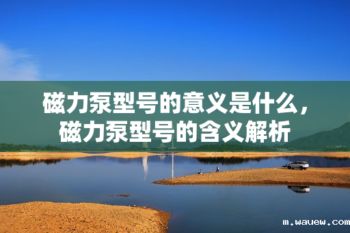 磁力泵型号的意义是什么,磁力泵型号的含义解析 磁力泵型号的意义是什么,磁力泵型号的含义解析