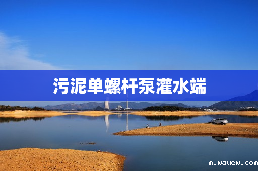 污泥单螺杆泵灌水端 污泥单螺杆泵灌水端