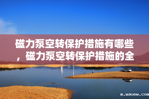 磁力泵空转保护措施有哪些,磁力泵空转保护措施的全面解析 磁力泵空转保护措施有哪些,磁力泵空转保护措施的全面解析