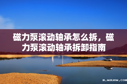 磁力泵滚动轴承怎么拆,磁力泵滚动轴承拆卸指南 磁力泵滚动轴承怎么拆,磁力泵滚动轴承拆卸指南