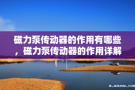 磁力泵传动器的作用有哪些,磁力泵传动器的作用详解 磁力泵传动器的作用有哪些,磁力泵传动器的作用详解