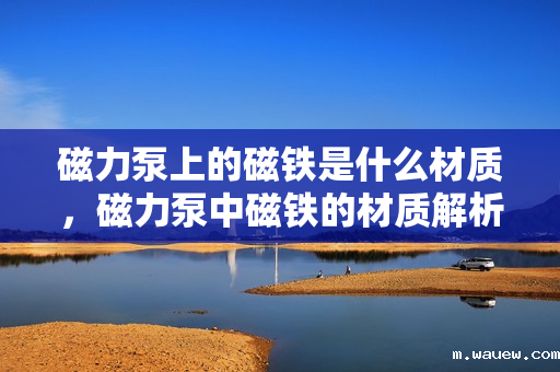磁力泵上的磁铁是什么材质,磁力泵中磁铁的材质解析 磁力泵上的磁铁是什么材质,磁力泵中磁铁的材质解析