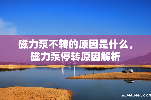 磁力泵不转的原因是什么,磁力泵停转原因解析 磁力泵不转的原因是什么,磁力泵停转原因解析