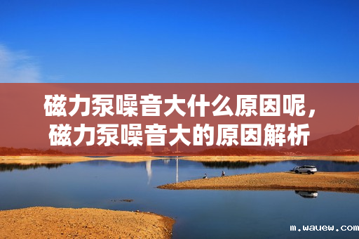 磁力泵噪音大什么原因呢,磁力泵噪音大的原因解析 磁力泵噪音大什么原因呢,磁力泵噪音大的原因解析